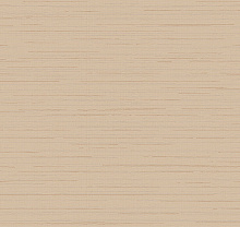 Loymina Amazonia Ins9 002/2